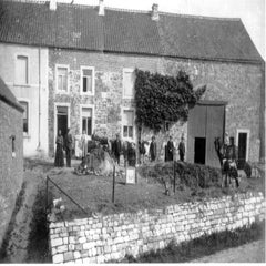 image017-standard.jpg