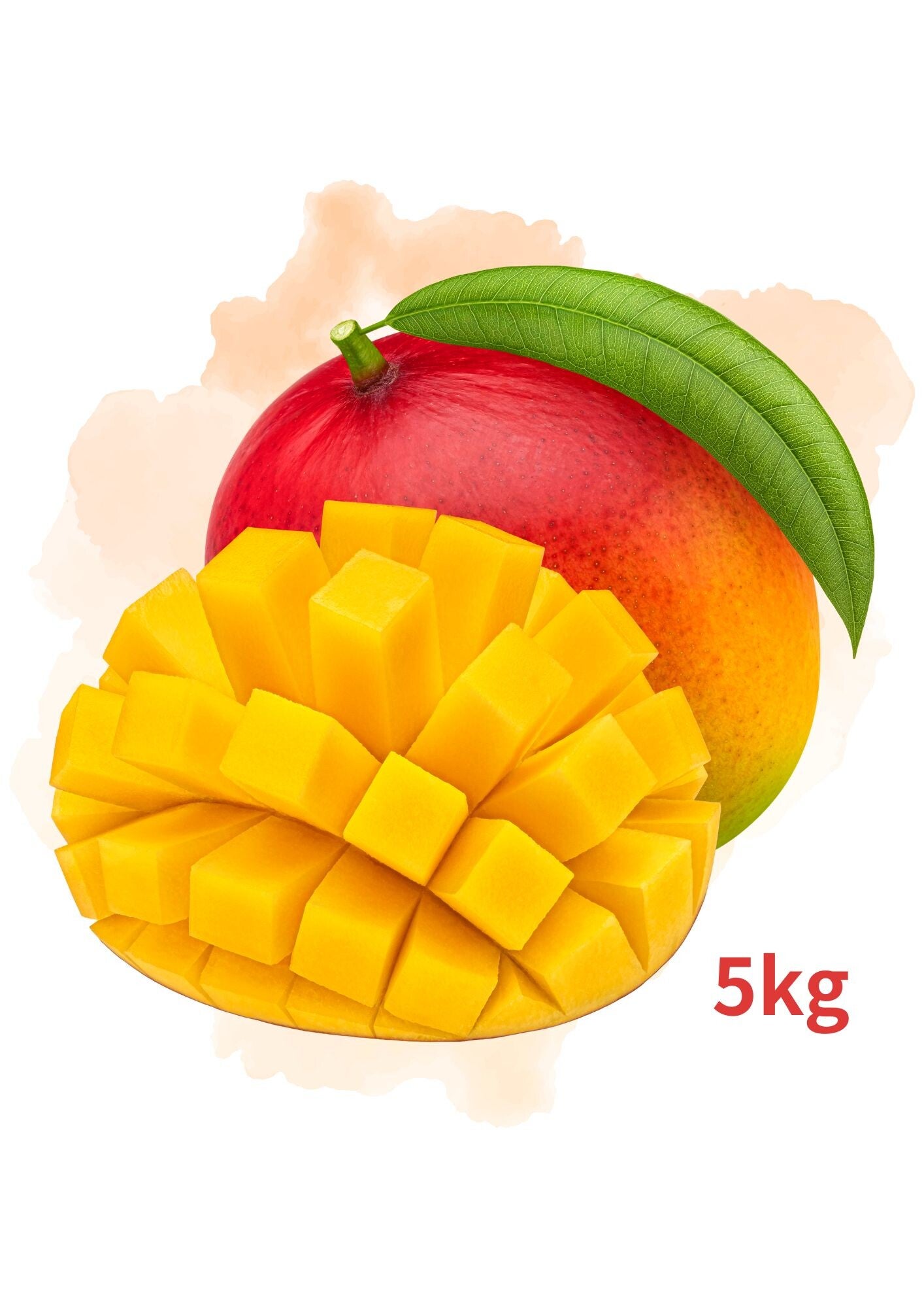 マンゴー 芒果  5kg