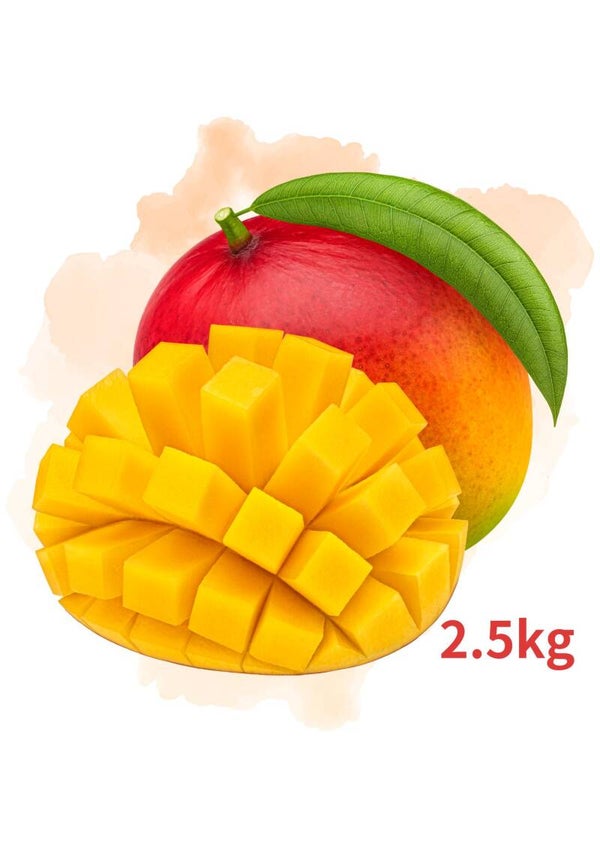 マンゴー 芒果  2.5kg