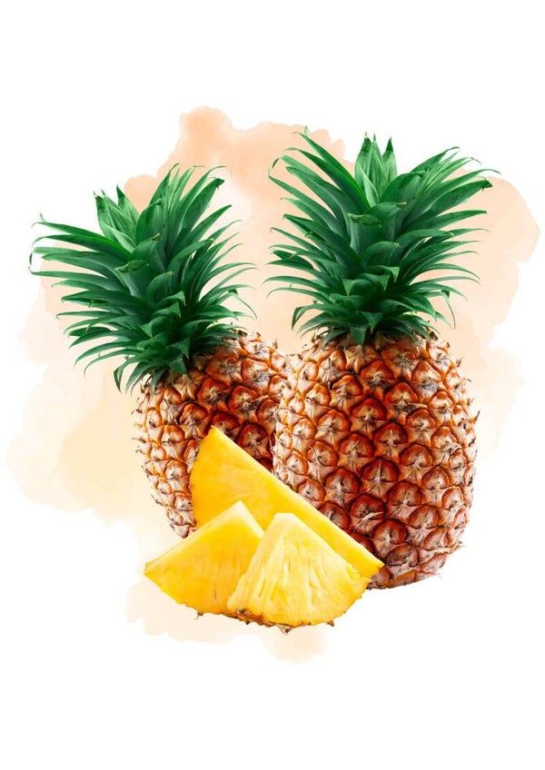 パイナップル 鳳梨