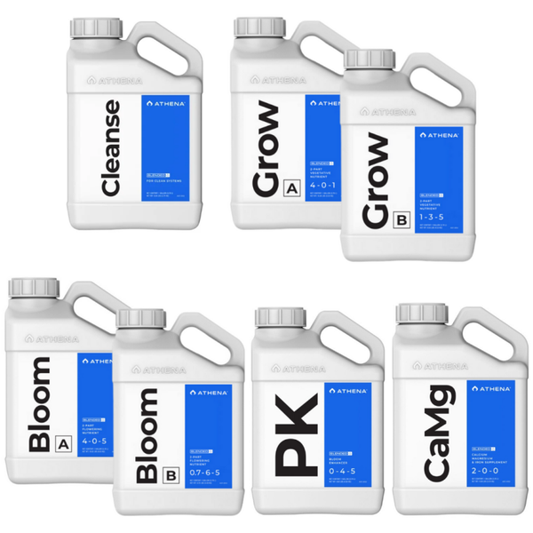 Kit Athena Blended entry level