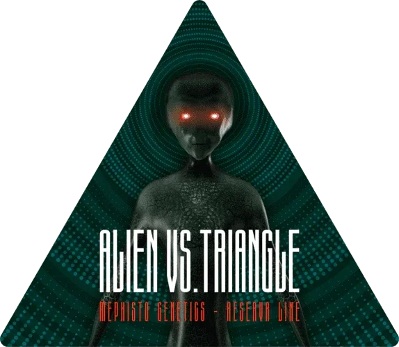 Alien vs. Triangle 3+2 semi