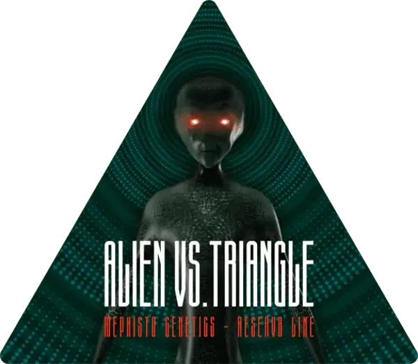 Alien vs. Triangle 3+2 semi