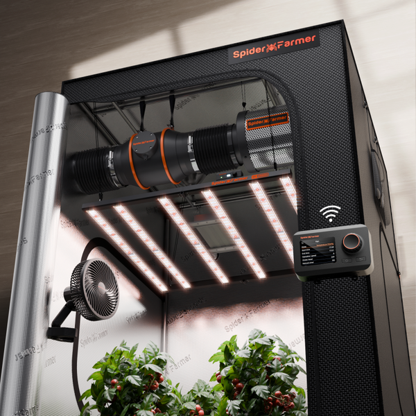 Kit growbox Spider Farmer 120×120×200 LED G5000