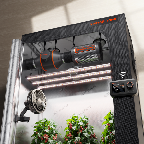 Kit growbox Spider Farmer 140x70x200cm LED G4500
