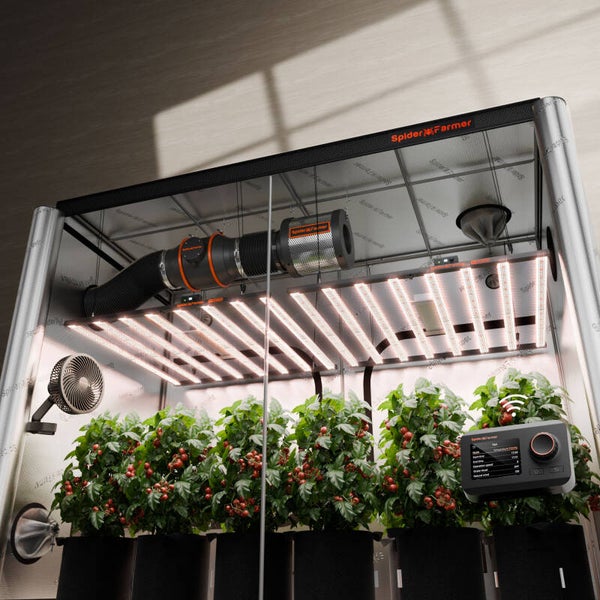 Kit growbox Spider Farmer 300x150X200 LED 2 G1000W