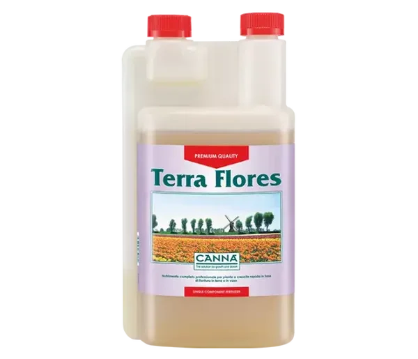 Terra Flores