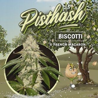 TH SEEDS PISTHASH 710 LIMITED 6 semi