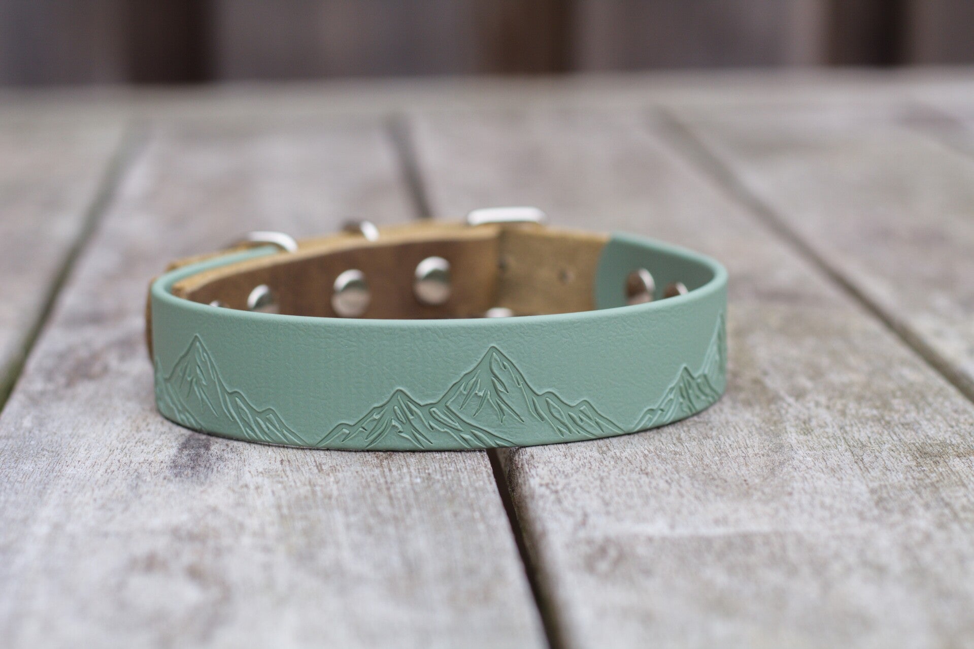 Summit mini - Custom heat stamped Biothane and leather dog collar