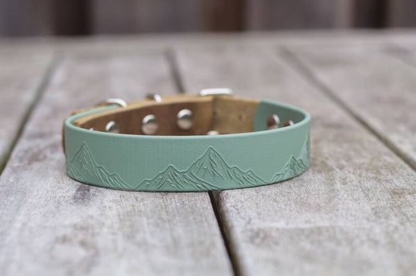 Summit mini - Custom heat stamped Biothane and leather dog collar