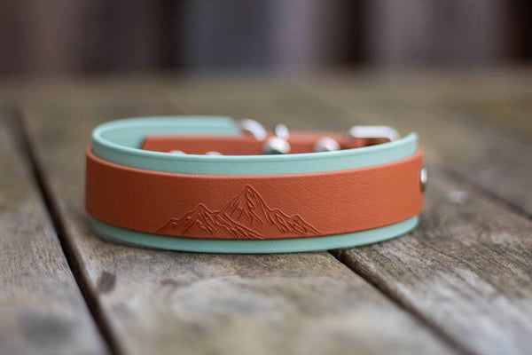 Summit halsband - dubbel laags - 38mm breed