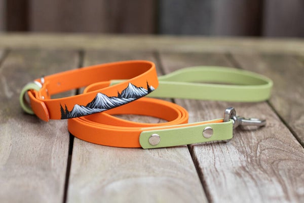 Single layer Biothane painted mountain collar / enkellaagse Biothane bergjes halsband