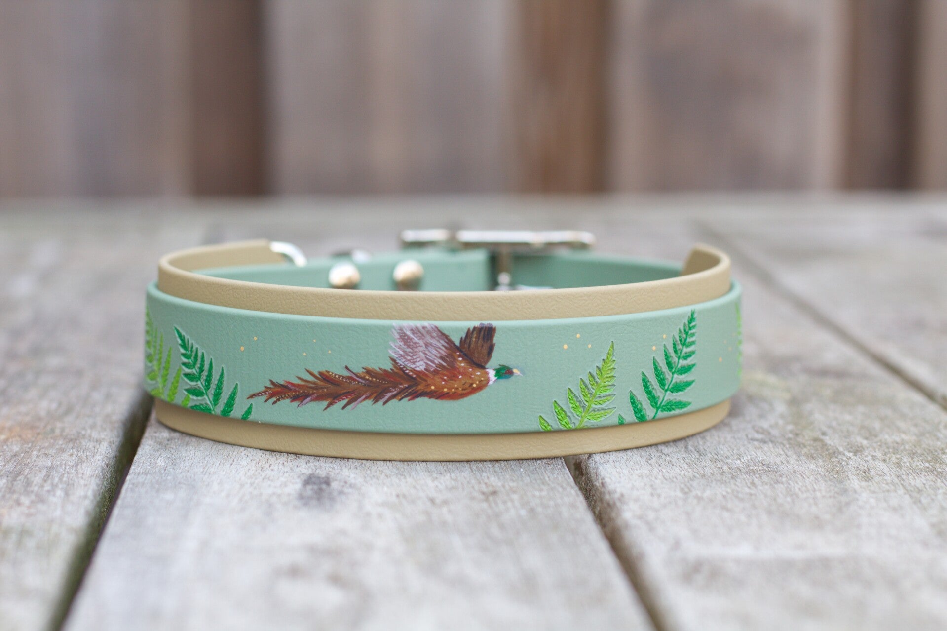 Ready to ship / 38mm wide Biothane pheasant collar