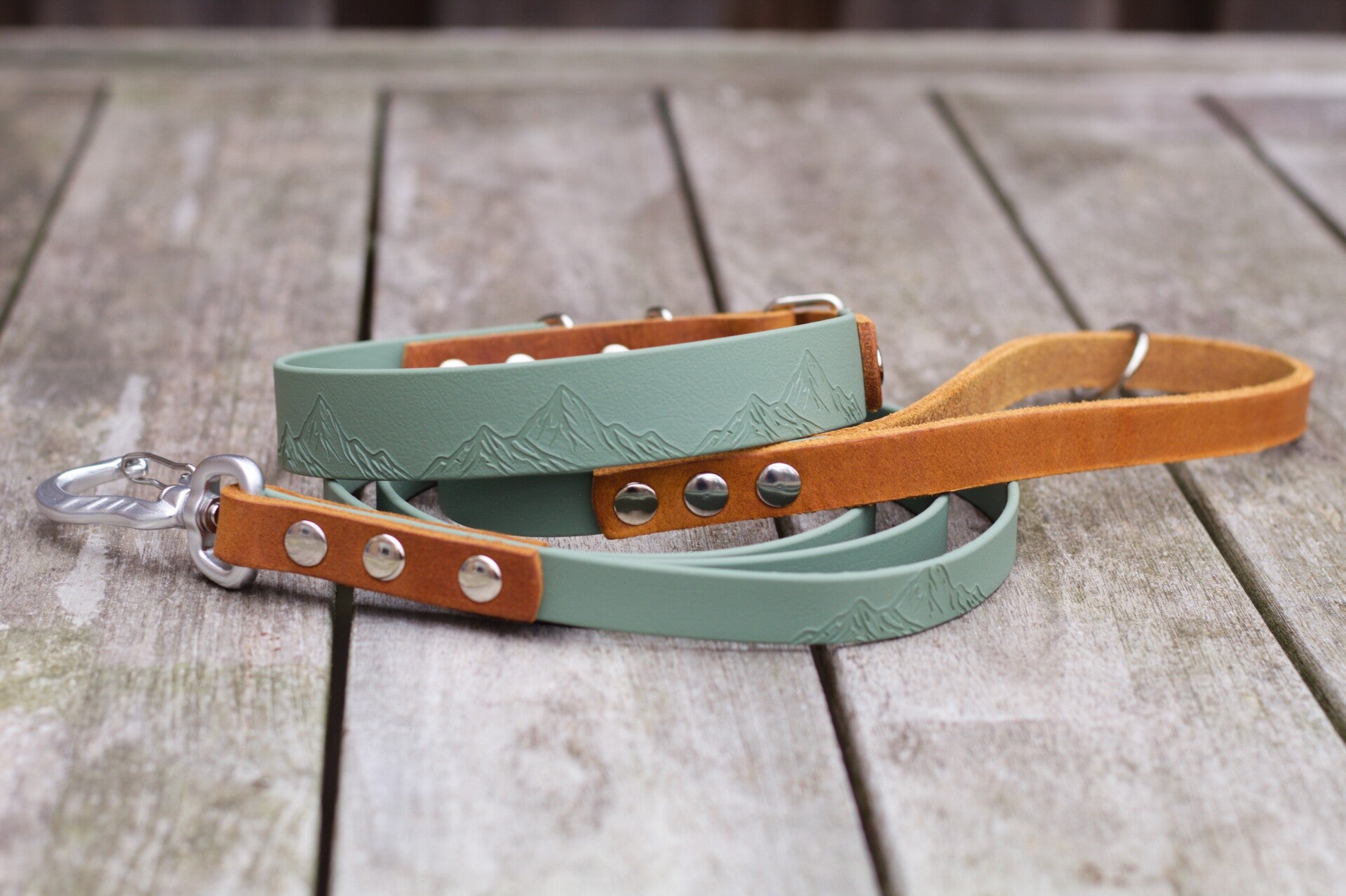 Ready to ship - Leather and Biothane Summit full set