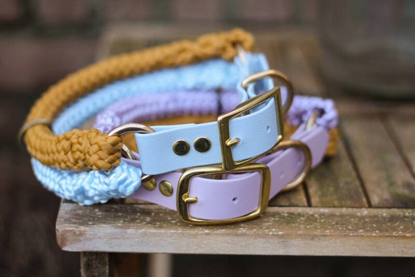 Grand Adventure collar - Biothane and waterproof Cord