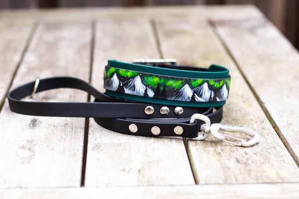Custom listing - Noorderlicht halsband en lange lijn