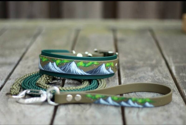 Ready to ship - 38mm wide Biothane Northern light inspired collar and leash set