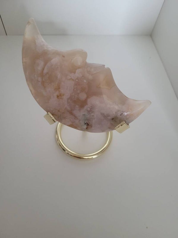 Leuke MAAN VAN BLOEMAGAAT 3