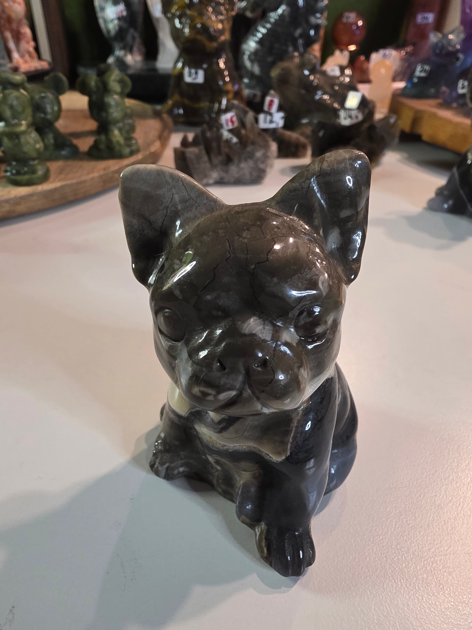 Franse Buldog van vulcaniet