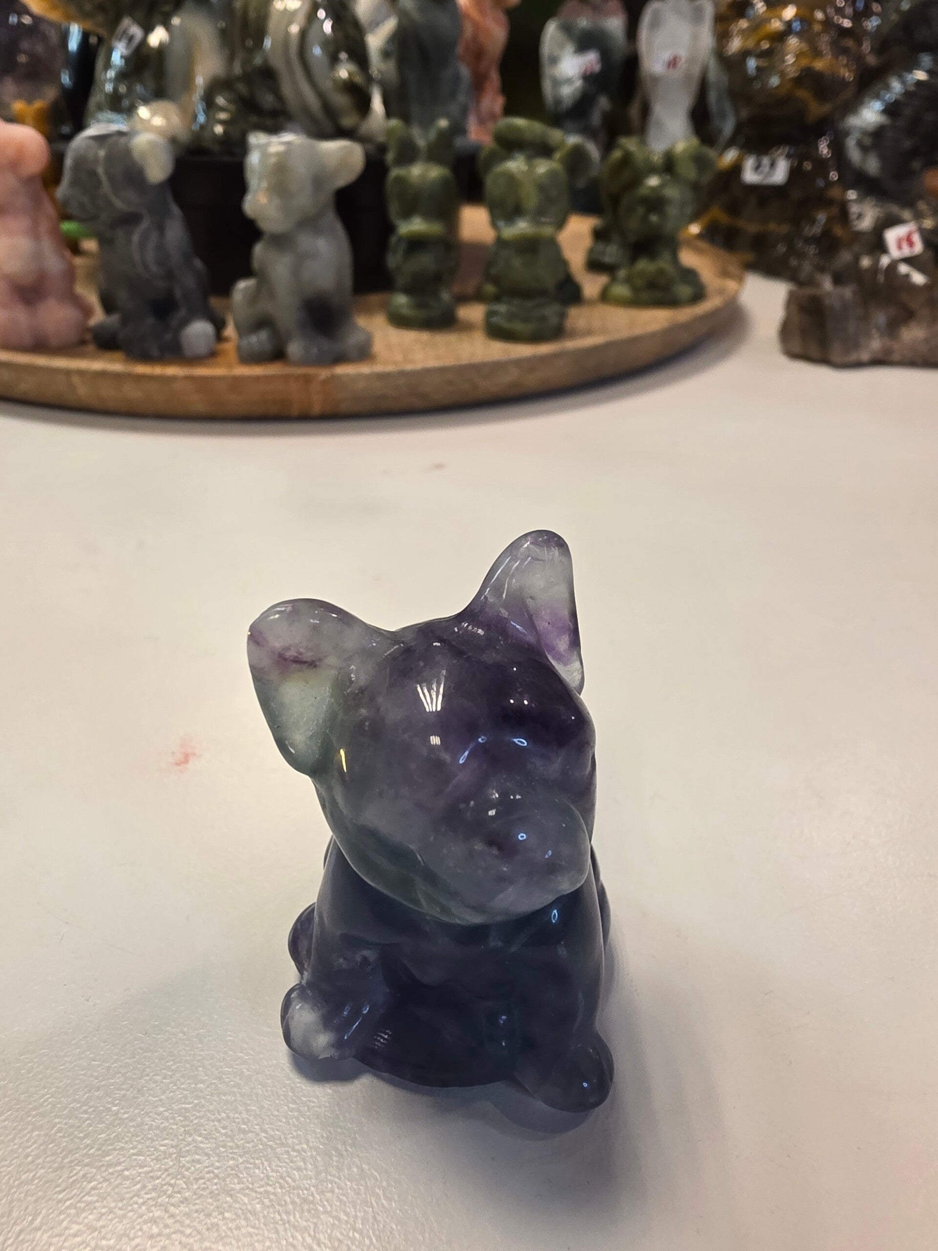 Fluoriet  franse buldog