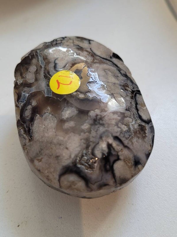 ZWARTE BLOEMAGAAT PALMSTEEN 6 CM (Zwarte bloemagaat palmsteen werkt beschermend, bevordert zelfvertrouwen, innerlijke groei en emotionele balans, en helpt bij stress en angsten.)