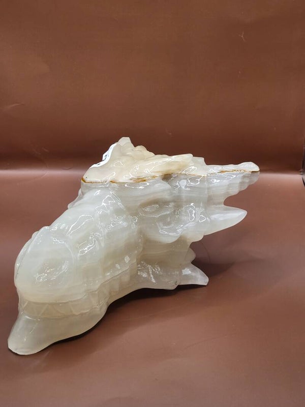 Afrikaanse jade nr352 3045 gramAfrikaanse jaspis, vaak ook bekend als Afrikaanse turkoois (hoewel het eigenlijk een specifiek type jaspis/kwarts is), staat in de edelsteentherapie bekend als een krachtige steen van transformatie, evenwicht en vernieuwin