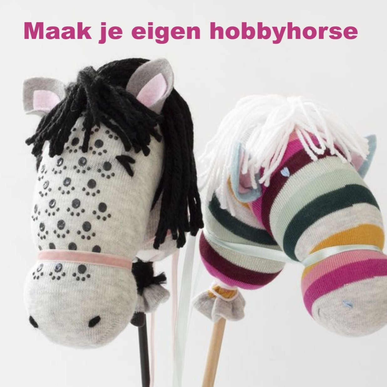 DIY pakket Hobbyhorse