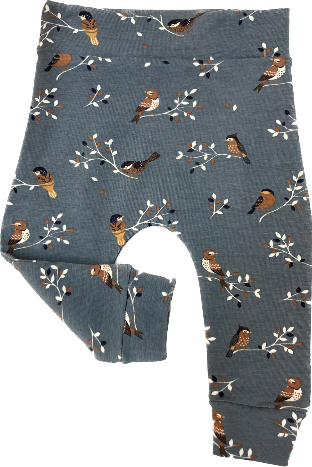 Broekje blauw vogels