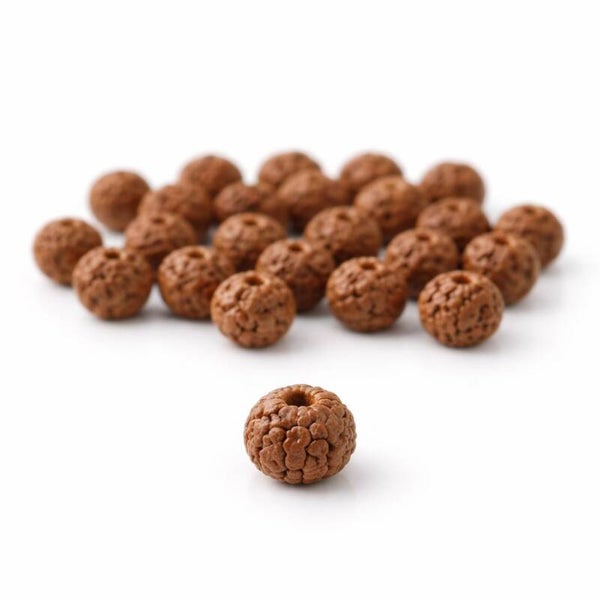 Perles de Rudraksha brun naturel 6 mm