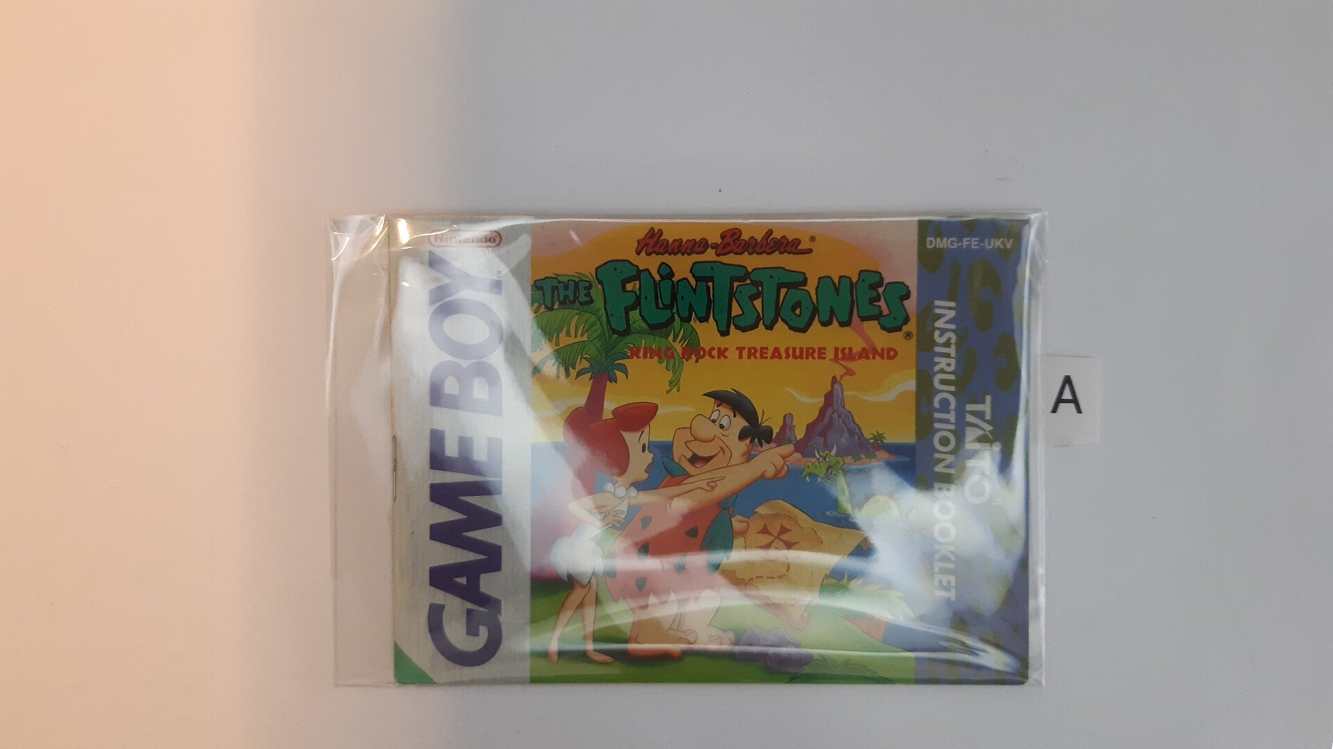 DMG Manual: Flintstones King Rock Treasure Island -UKV