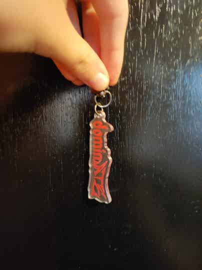DominATE keychains