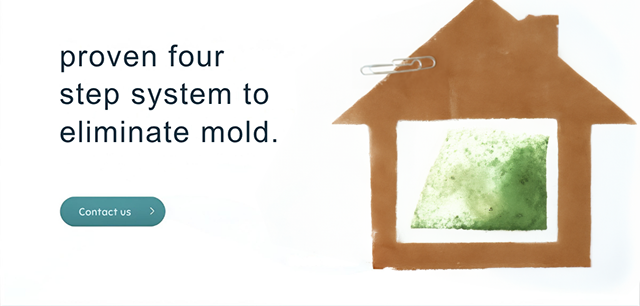 contact us card for mold remediation