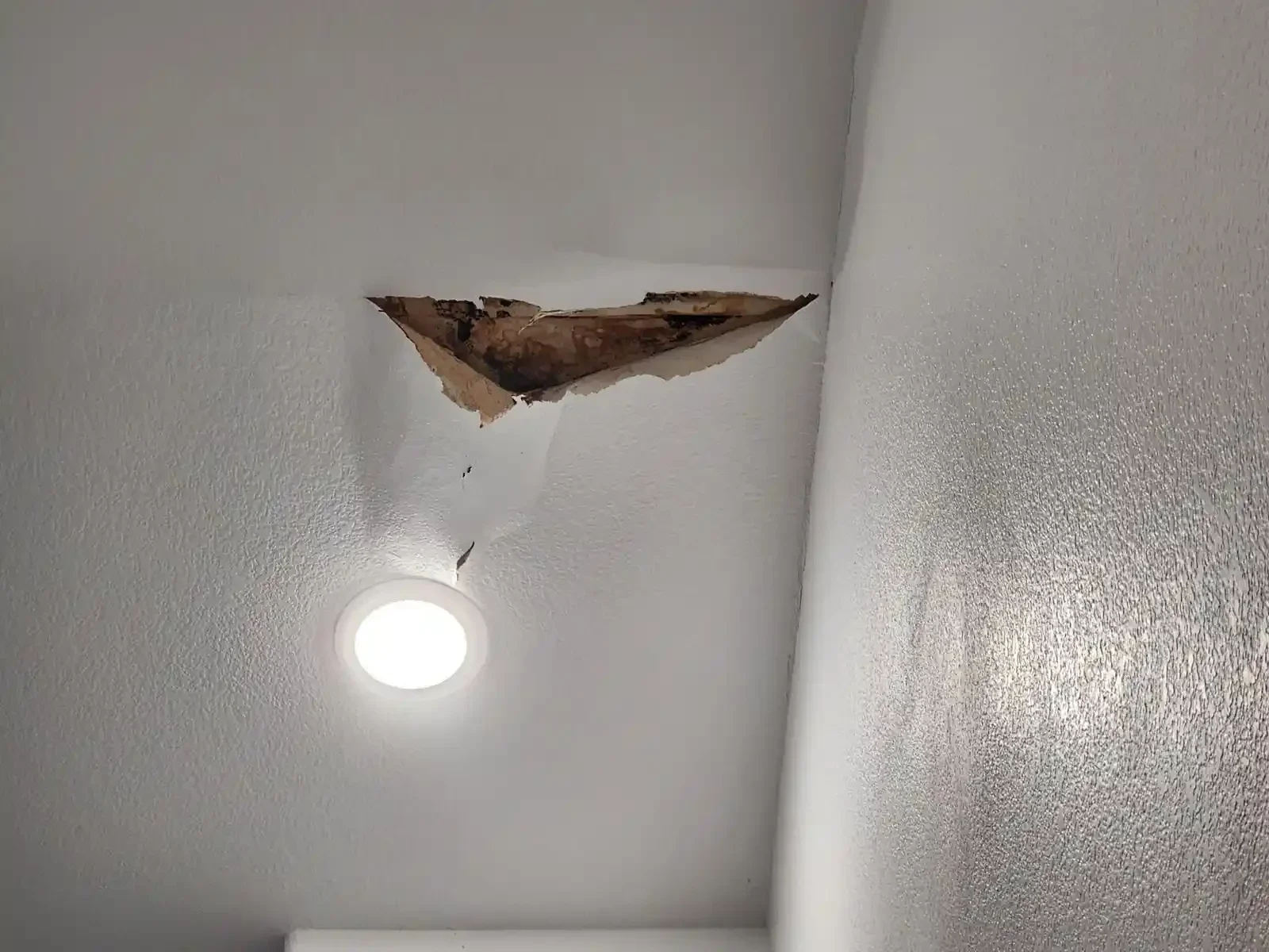 water damage on ceiling, bubblinh the paint and texture drywall , we can fix it for you