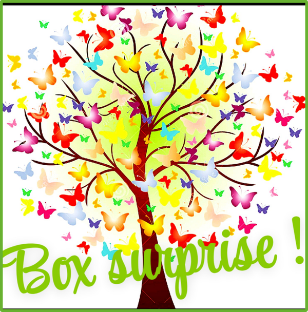 Box surprise à la folie 🎉