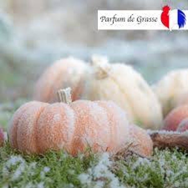 Fondant parfumé Citrouille givrée 🎃