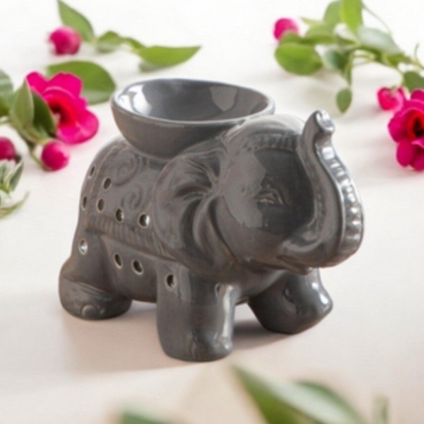 Elephant gris