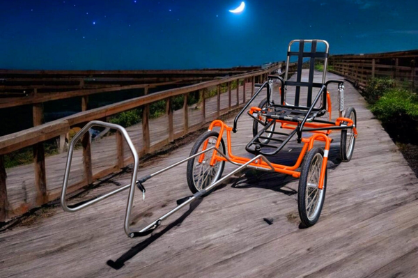 Saccowagen Neu für einen Hund