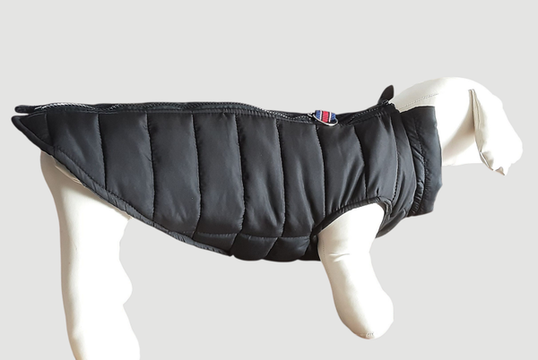 Gewatteerde Hondenjasje, Zwart, Maat XXL