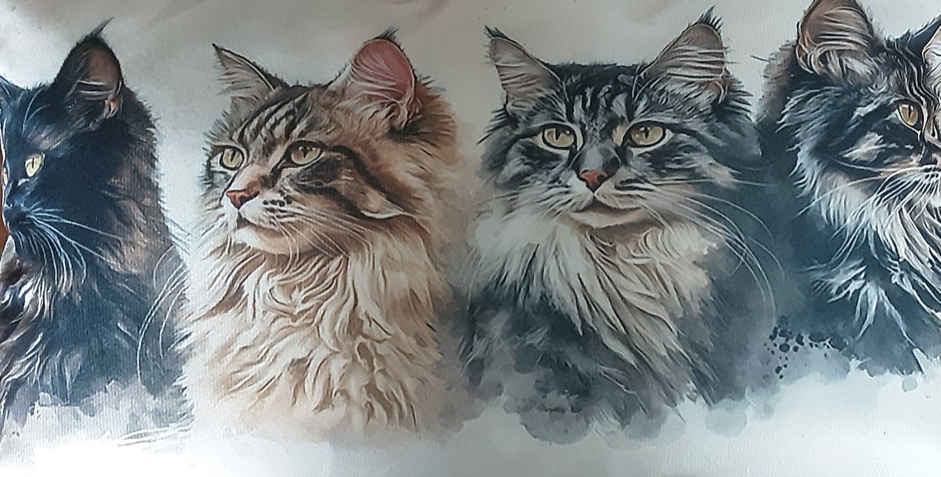 Lendekussen Katten Langhaar