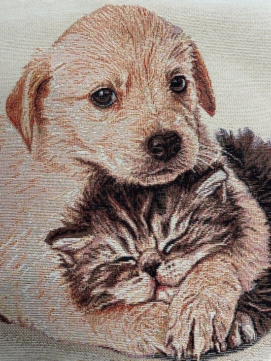 Sierkussen Pup met Kitten