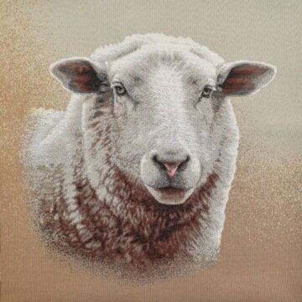 Sierkussen Schaap