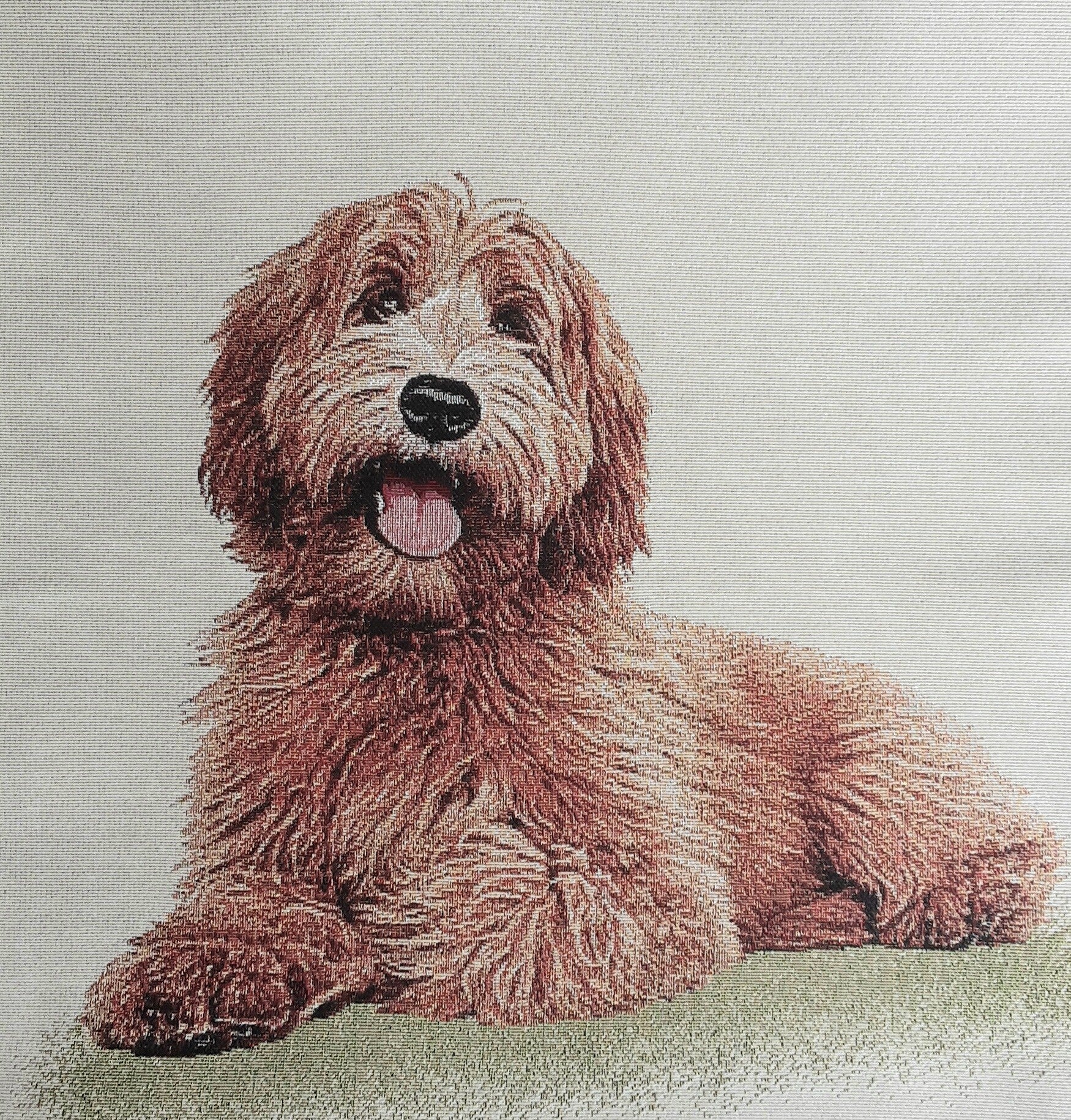 Sierkussen Labradoodle