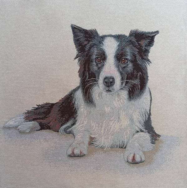 Sierkussen Border Collie