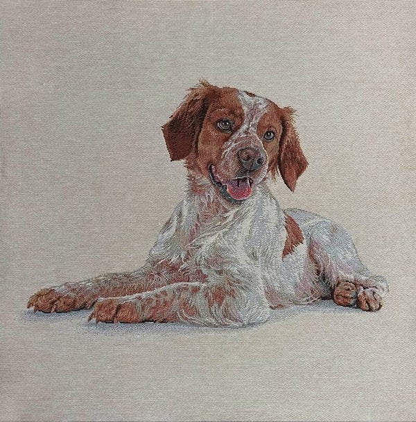 Sierkussen Jachthond