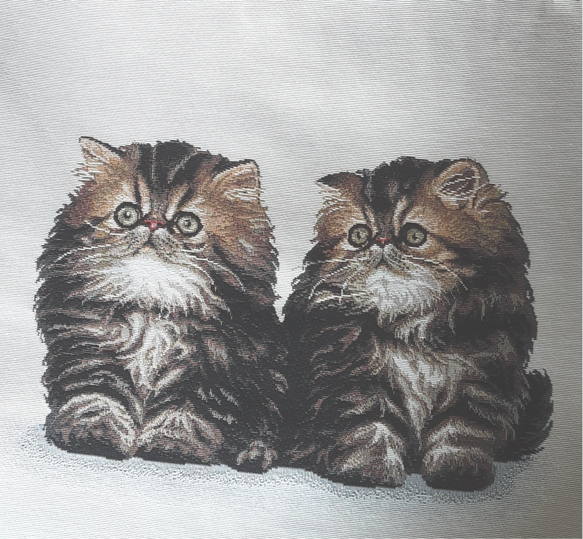 Sierkussen 2 Perzische Kittens