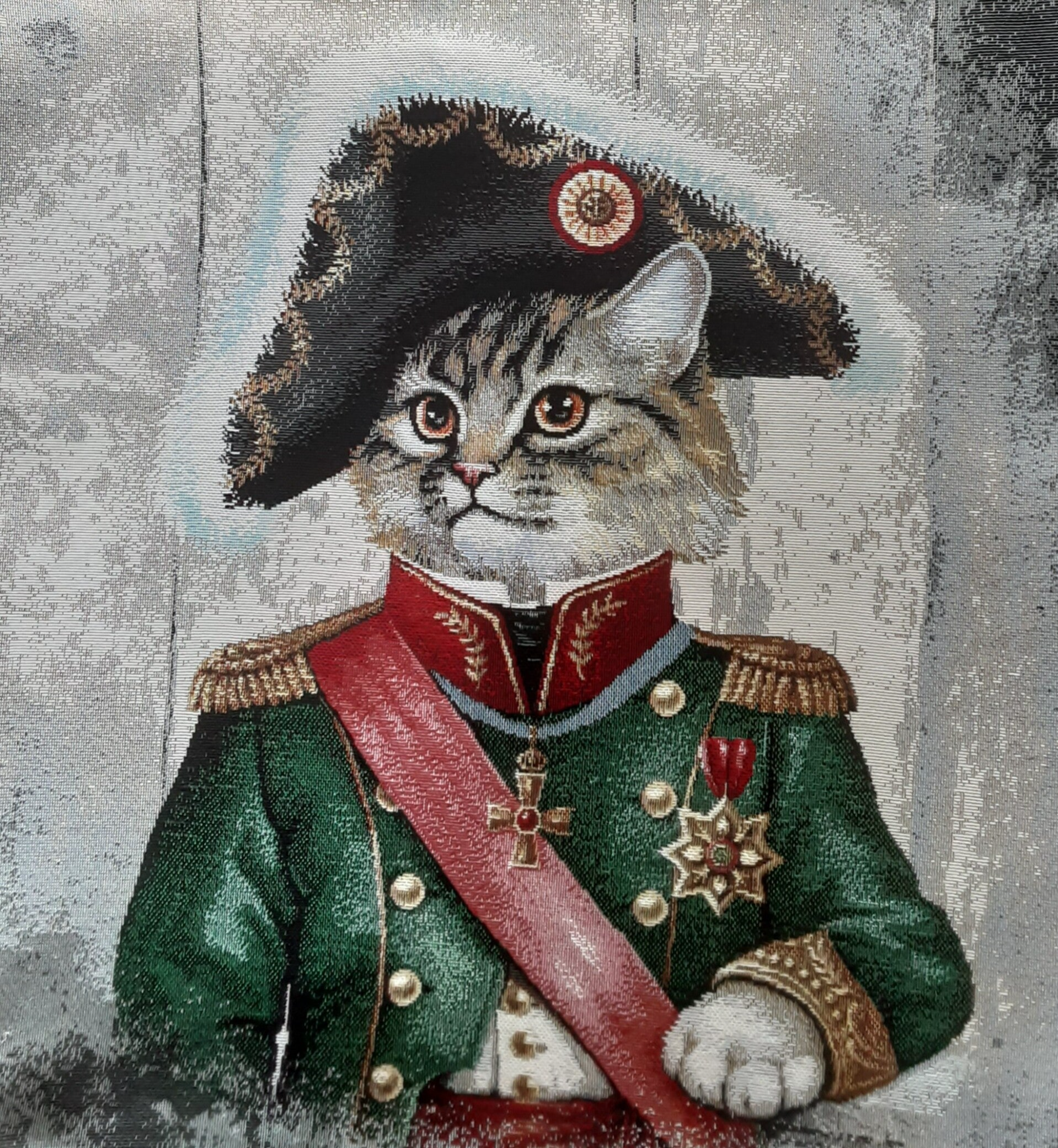 Sierkussen Kat Generaal