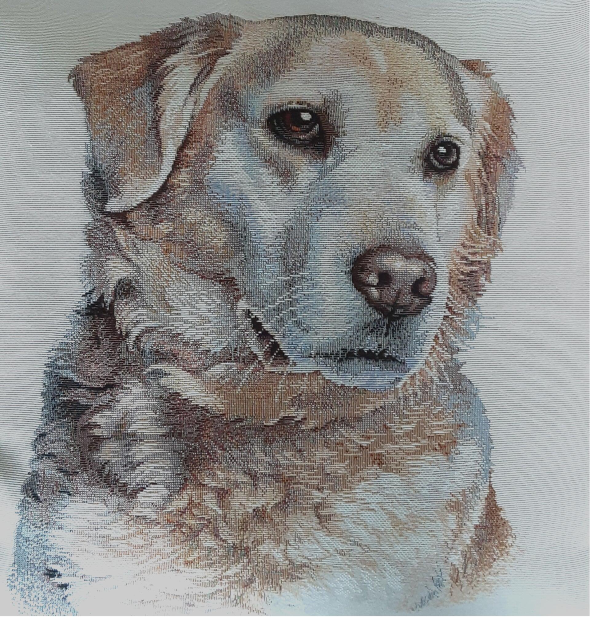 Sierkussen Golden Retriever