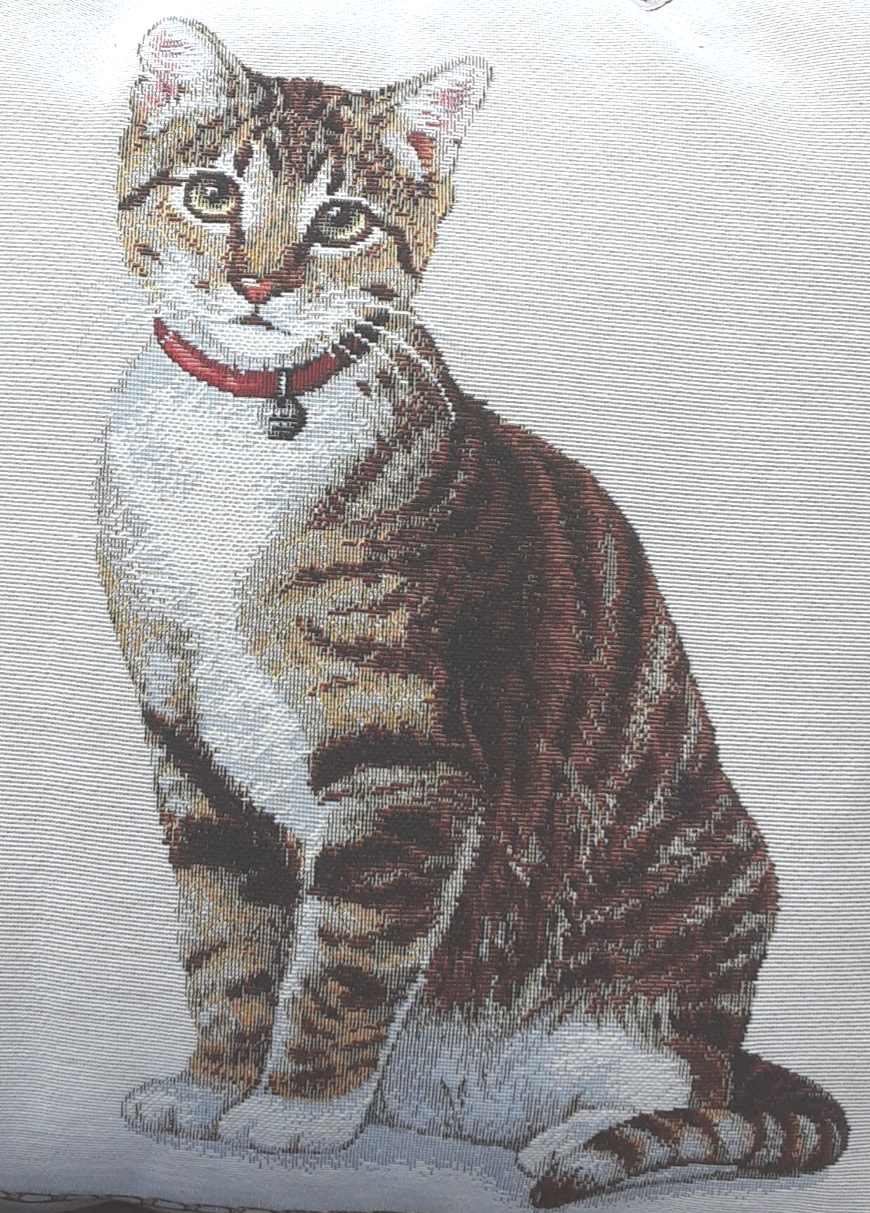 Sierkussen Cyperse kat