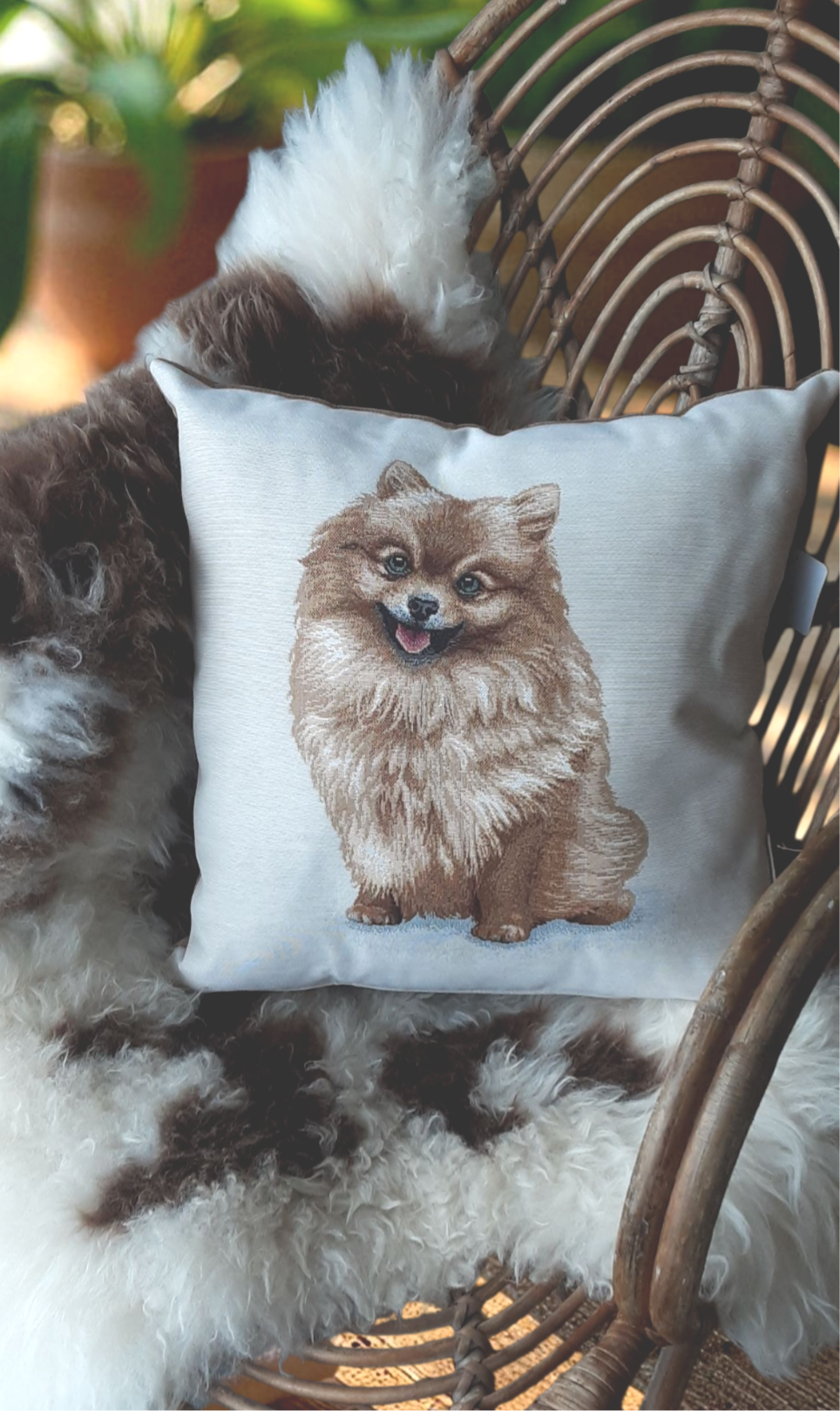 Sierkussen Pomperiaan