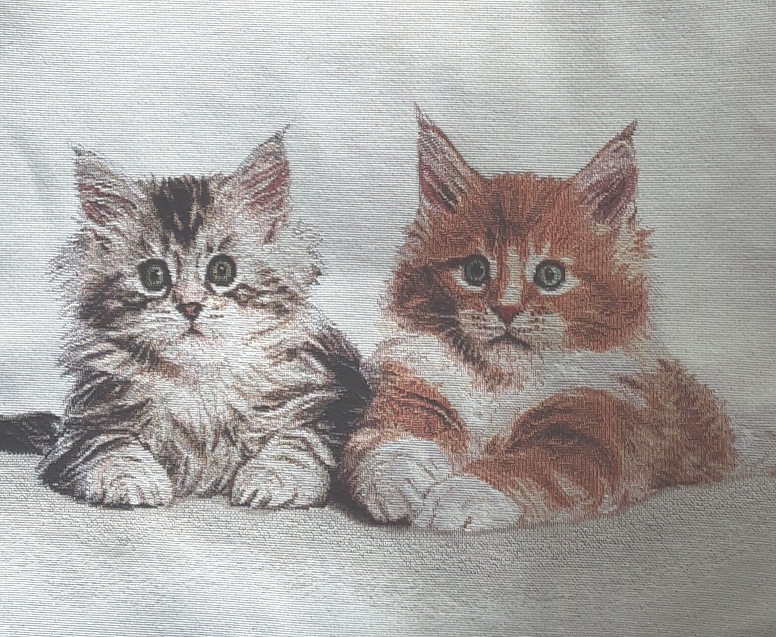 Sierkussen Maincoons